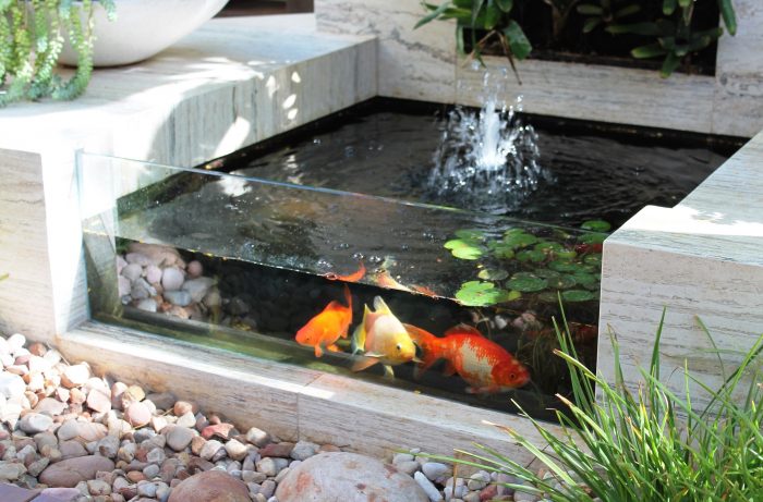 desain kolam ikan dalam rumah