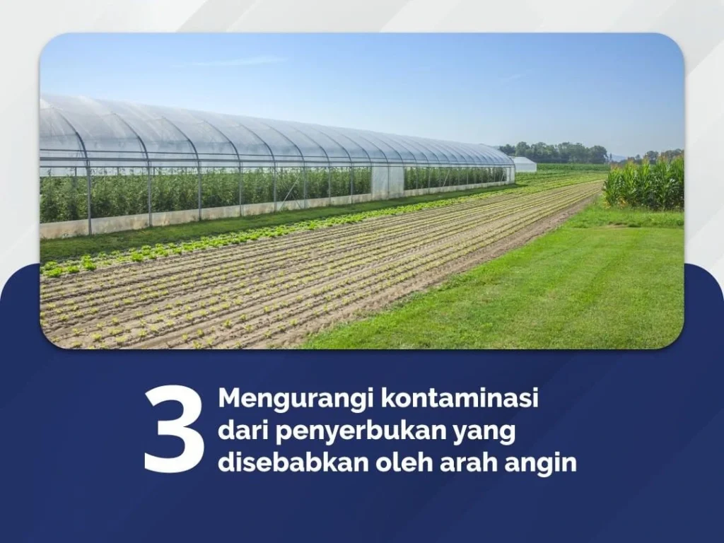 5 Fungsi Greenhouse