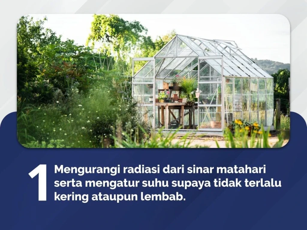 5 Fungsi Greenhouse